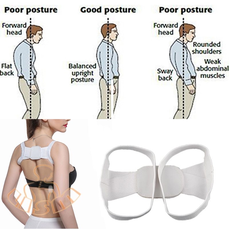 Posture Corrector Belt - Back Support Brace for Women and Men