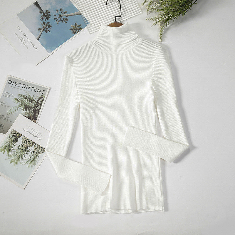 Ribbed Knit Turtleneck Sweater - Women's Fitted Pullover